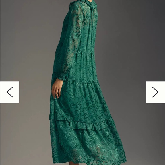 The Marais Maxi Dress: Satin-Burnout Edition in Green - Picture 2 of 7
